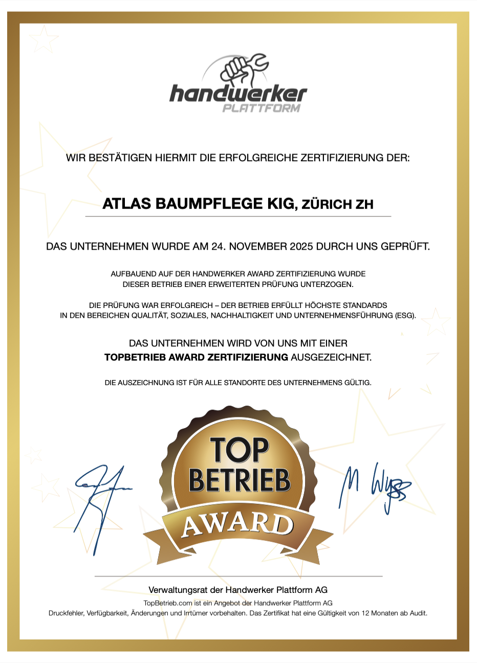 Atlas Baumpflege KIG TopBetrieb AWARD Zertifikat 2025/2026